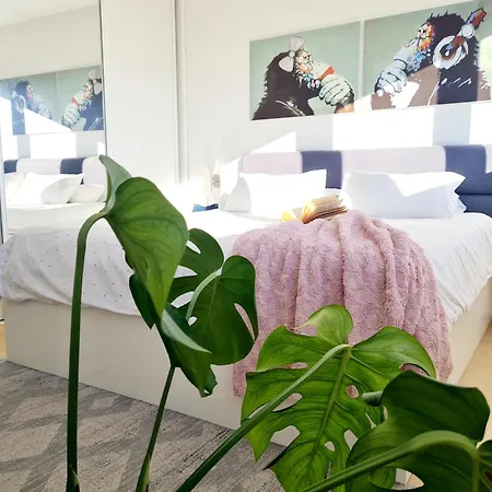 Lejlighed Beautiful Sea View, Free Parking, Centre Of *